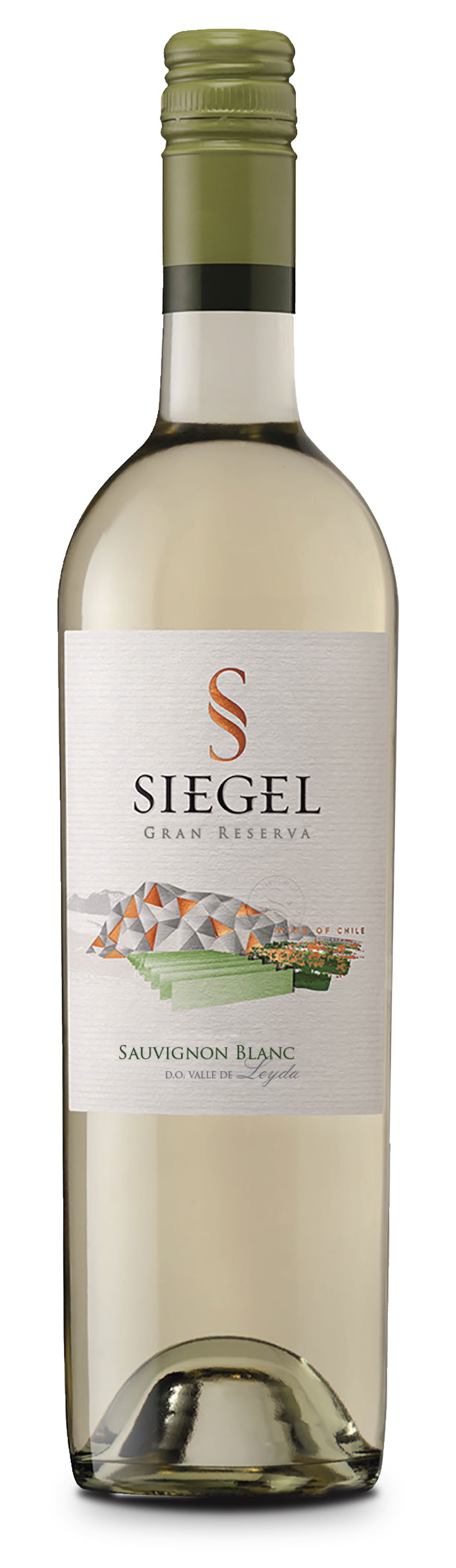 Sauvignon Blanc Gran Reserva 2022 - Vina Siegel 0,75l