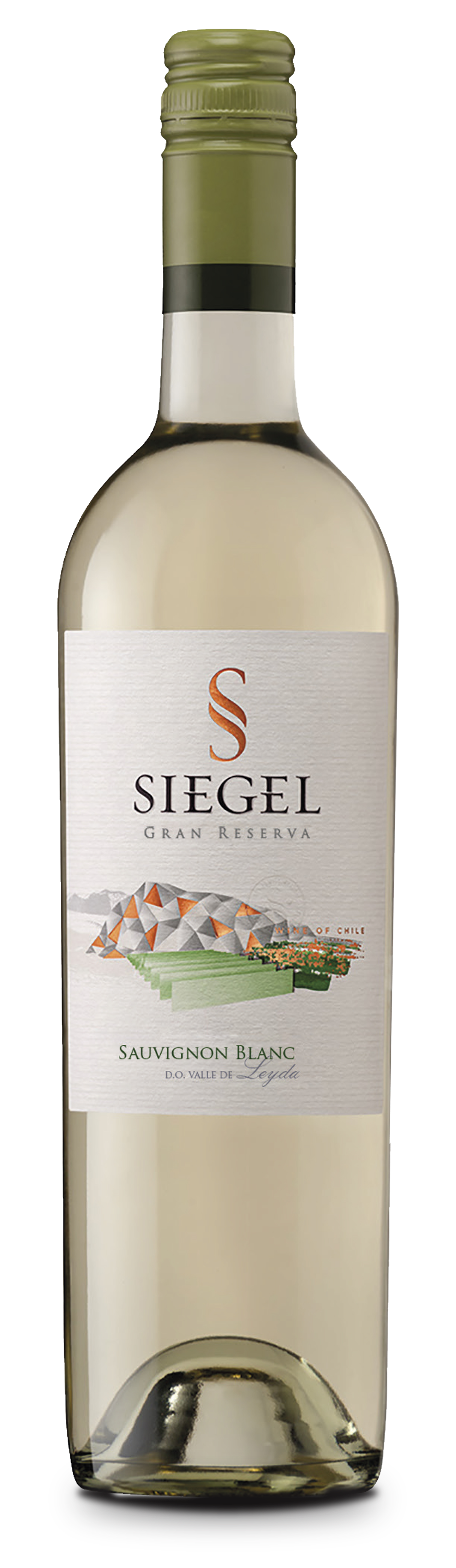 Sauvignon Blanc Gran Reserva 2025 - Vina Siegel 0,75l
